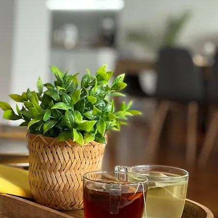 Kakavanen's Sea View Balčik